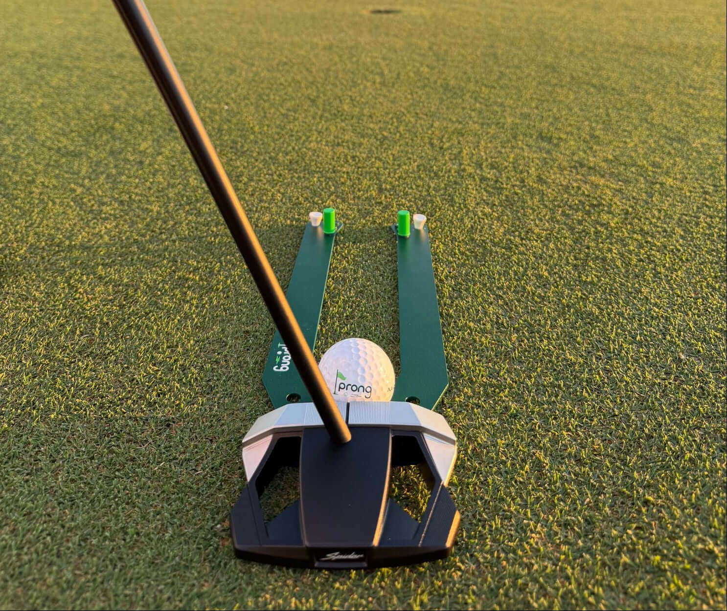 Golf putter and alignment tool-prong