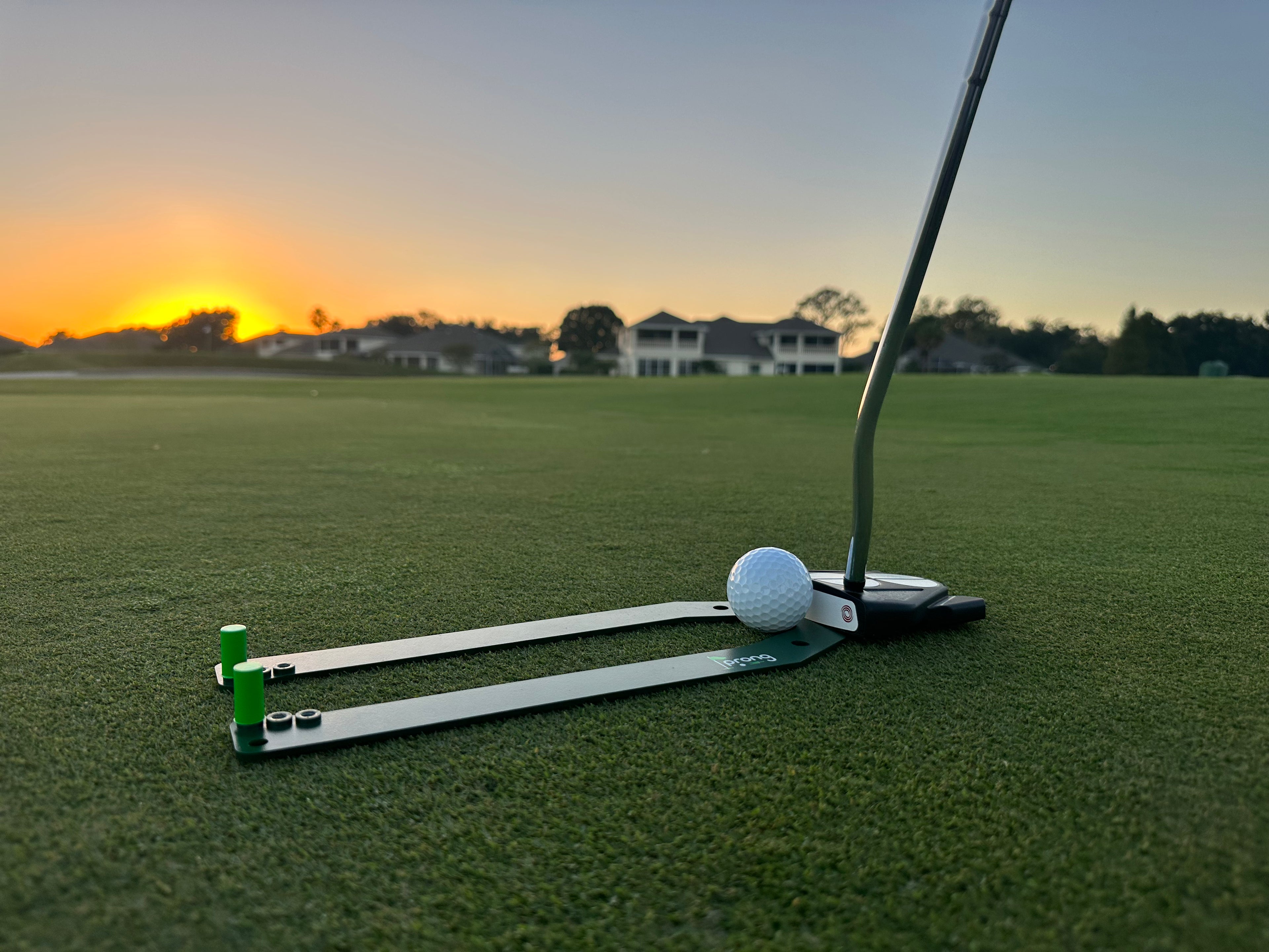 Golf putting aid on green-prong
