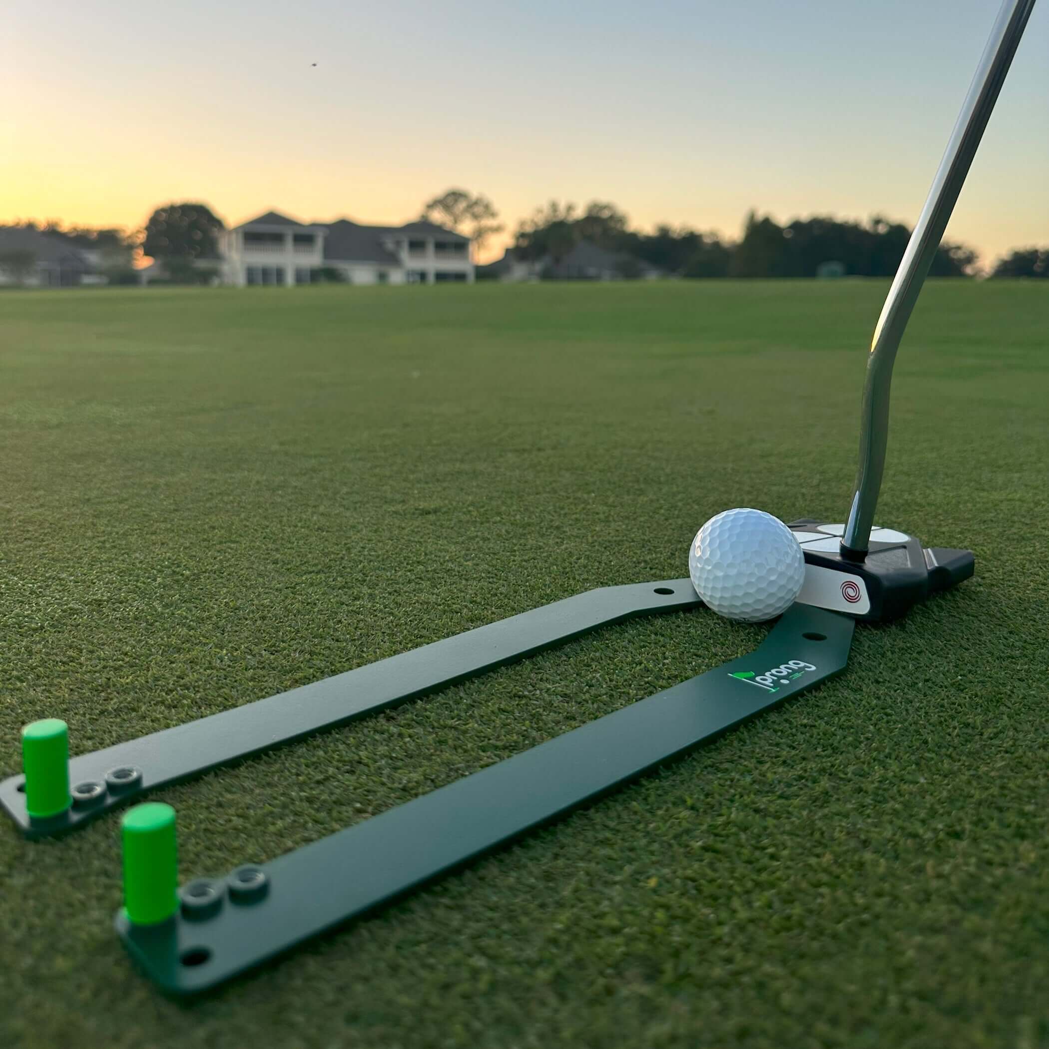 Golf ball and putting trainer-prong
