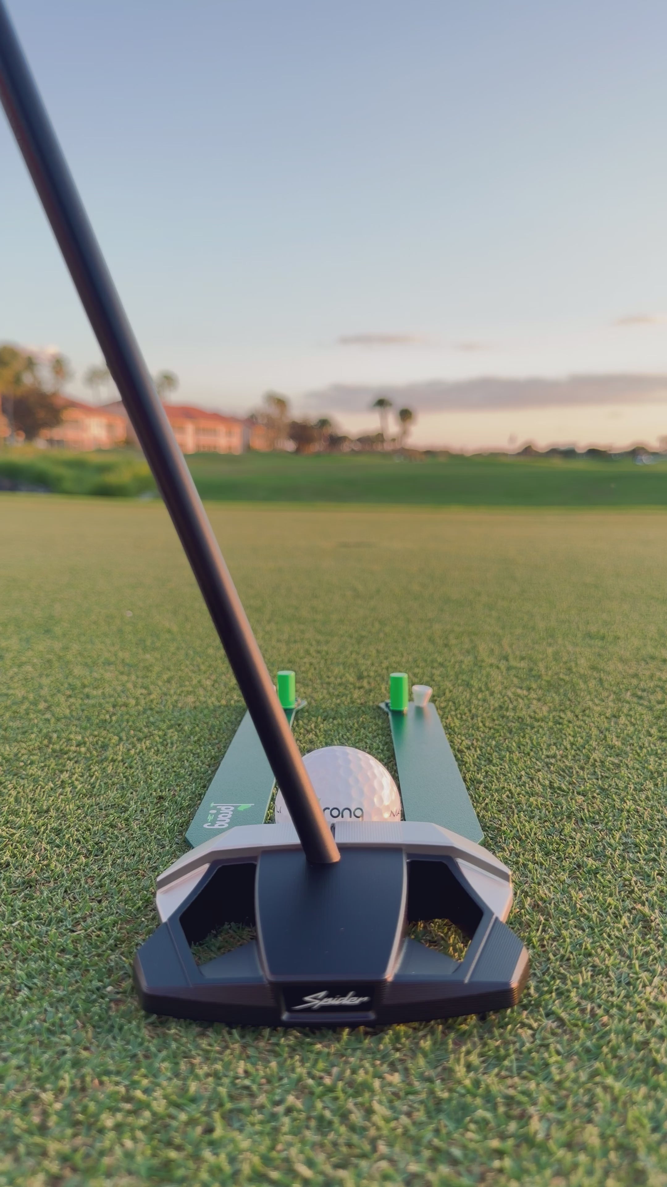 Golf putter and putting aid on green -prong